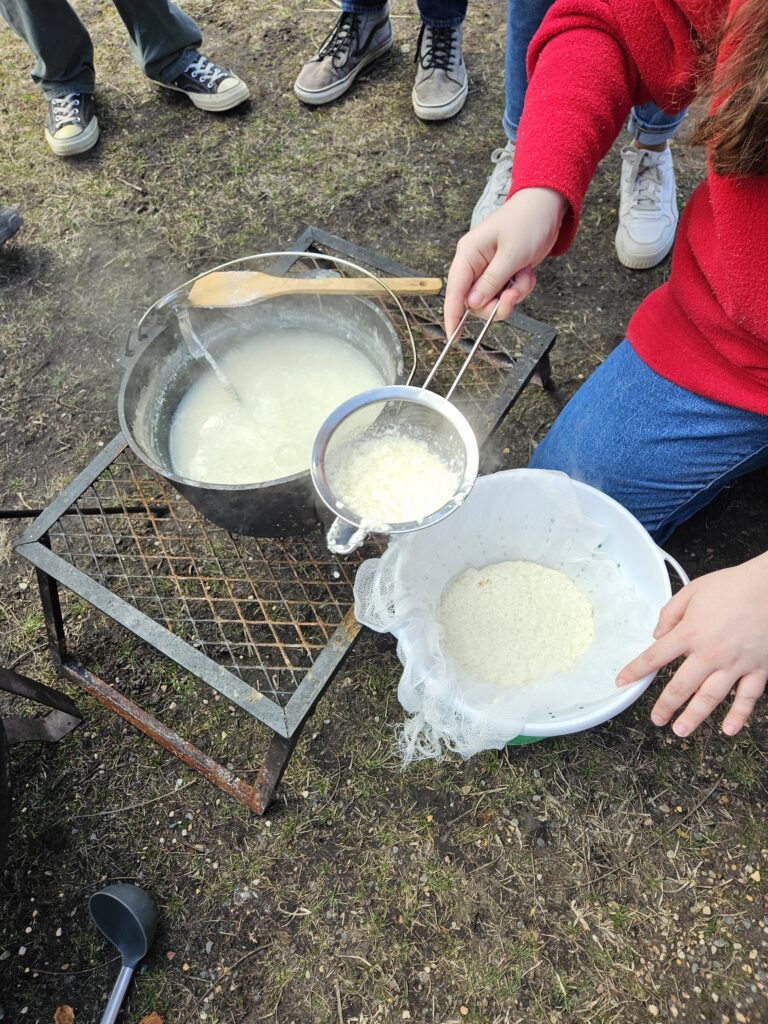 Straining paneer from whey.