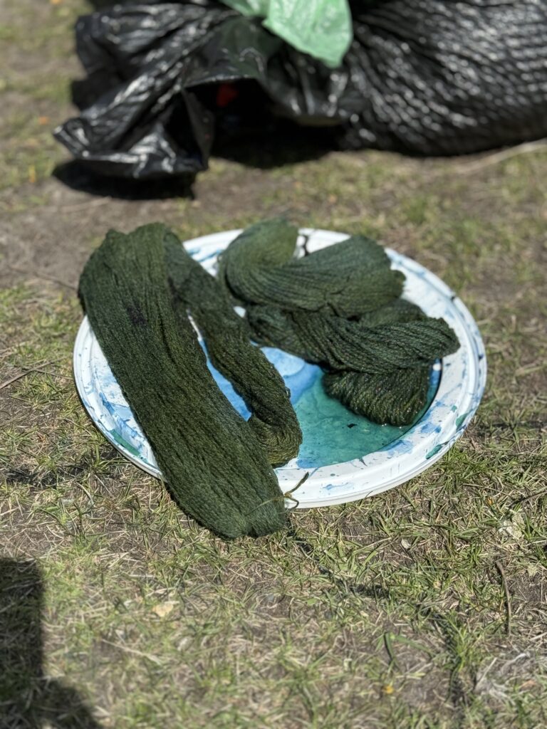 Green yarn on plate on top of grass