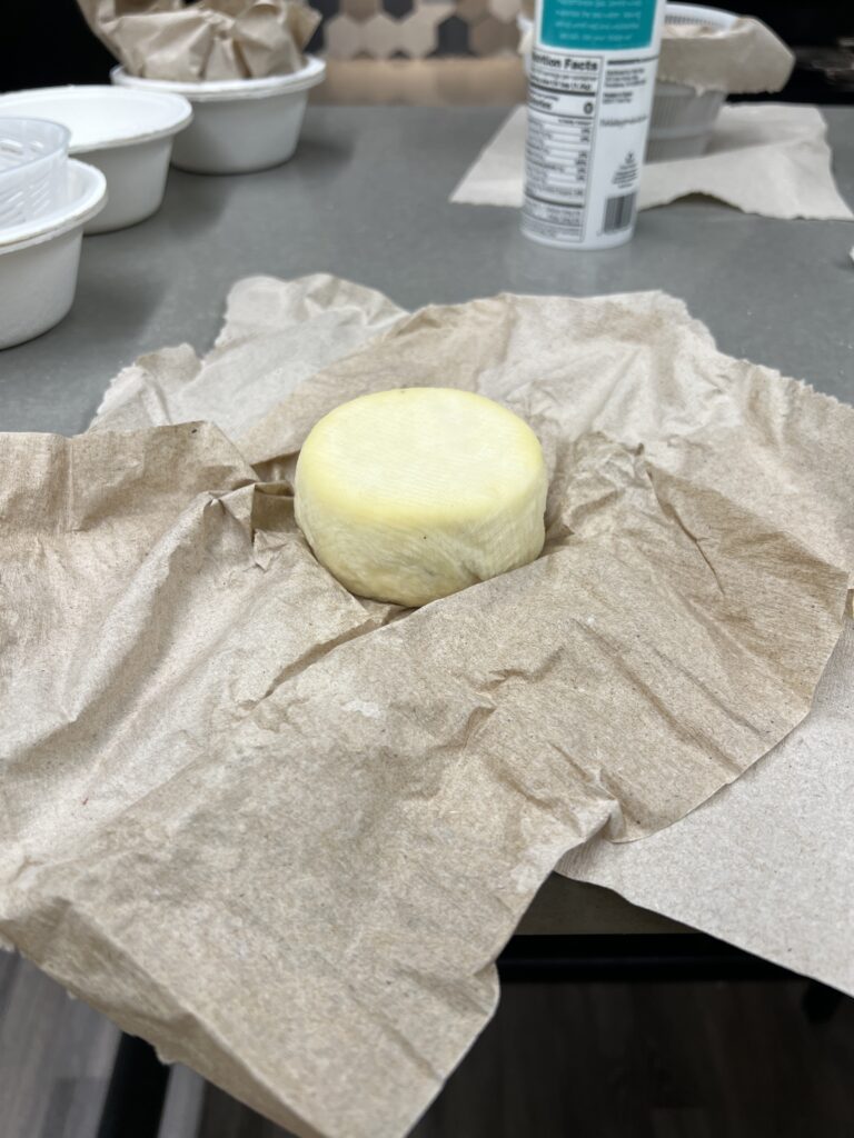 A cheese being aged by one of our class mates/