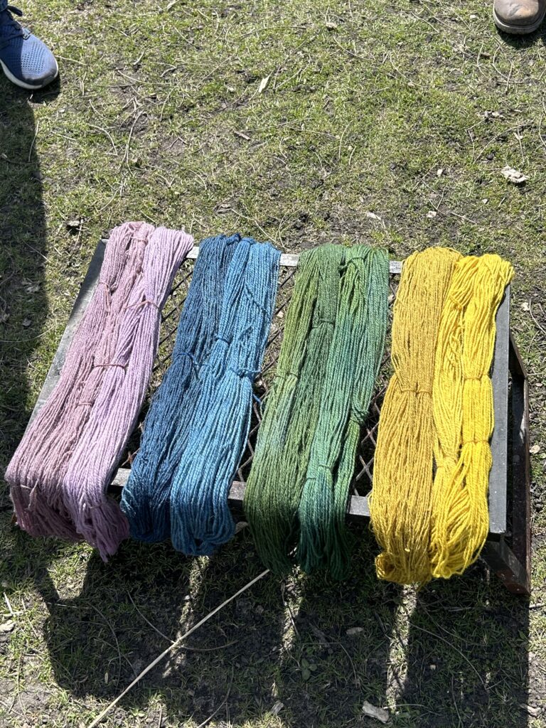 Different colors of yarn in a row