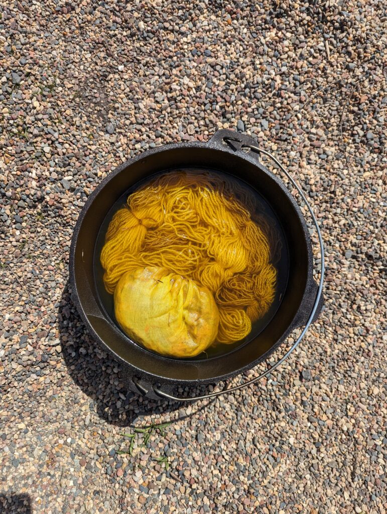 Yellow wool soaking in a yellow dye solution.