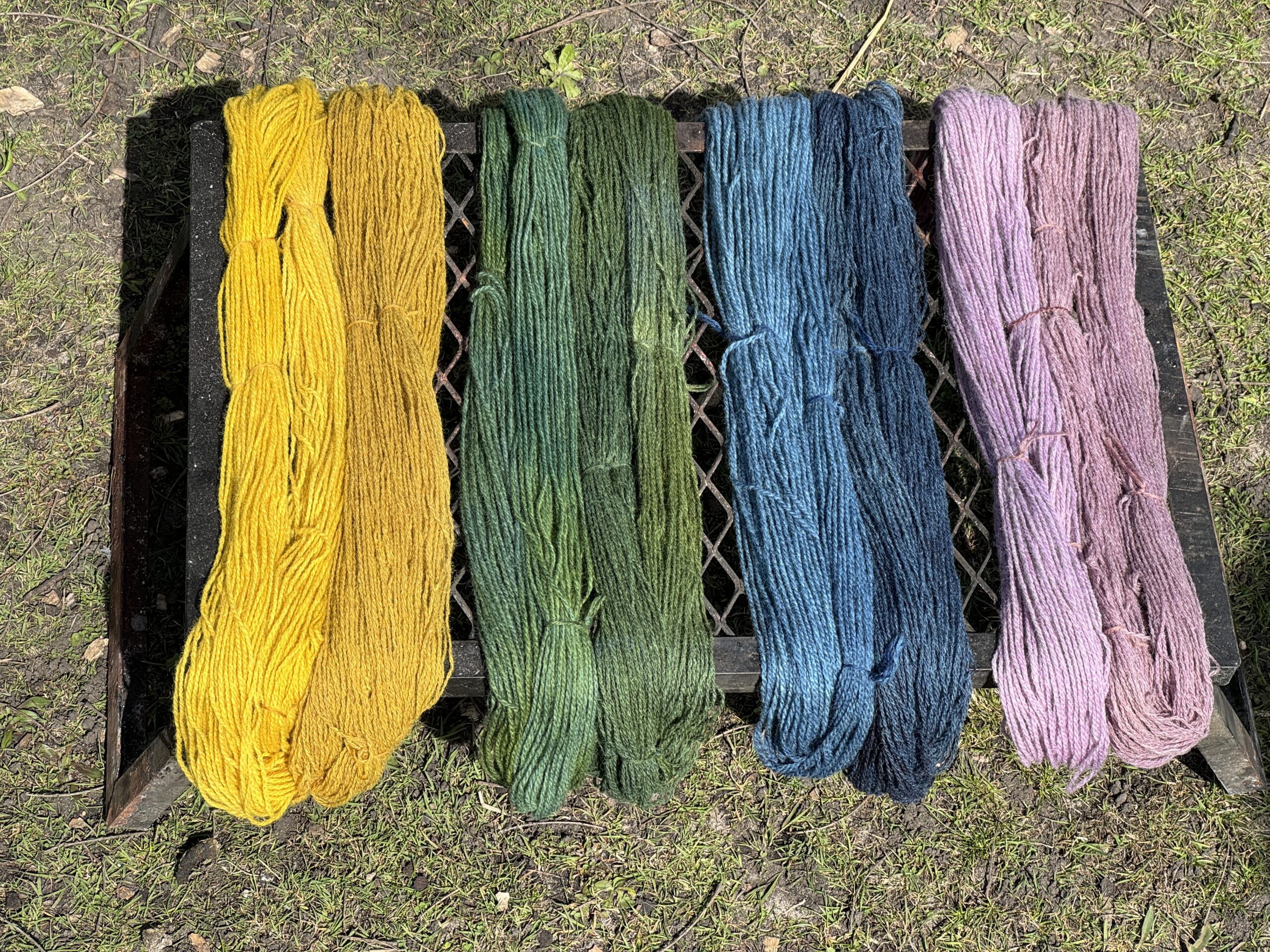 Image of 4 different colors of yarn displayed side by side. From left to right: yellow, green, blue, purple