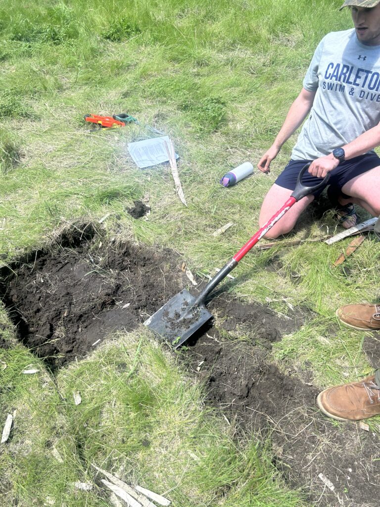 Harvesting Kvíahnaus.