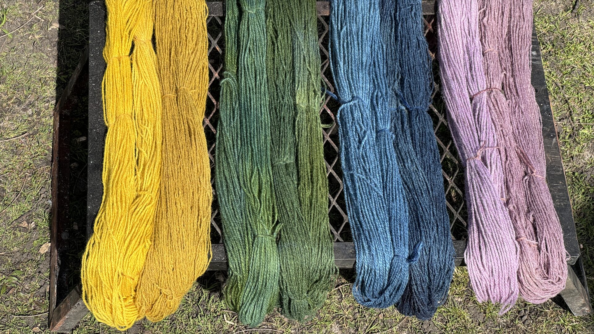 Dyeing
Spring24