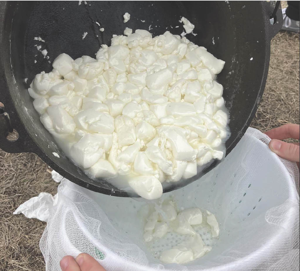 Week 2 Lab Data (Group F): Making Mozzarella