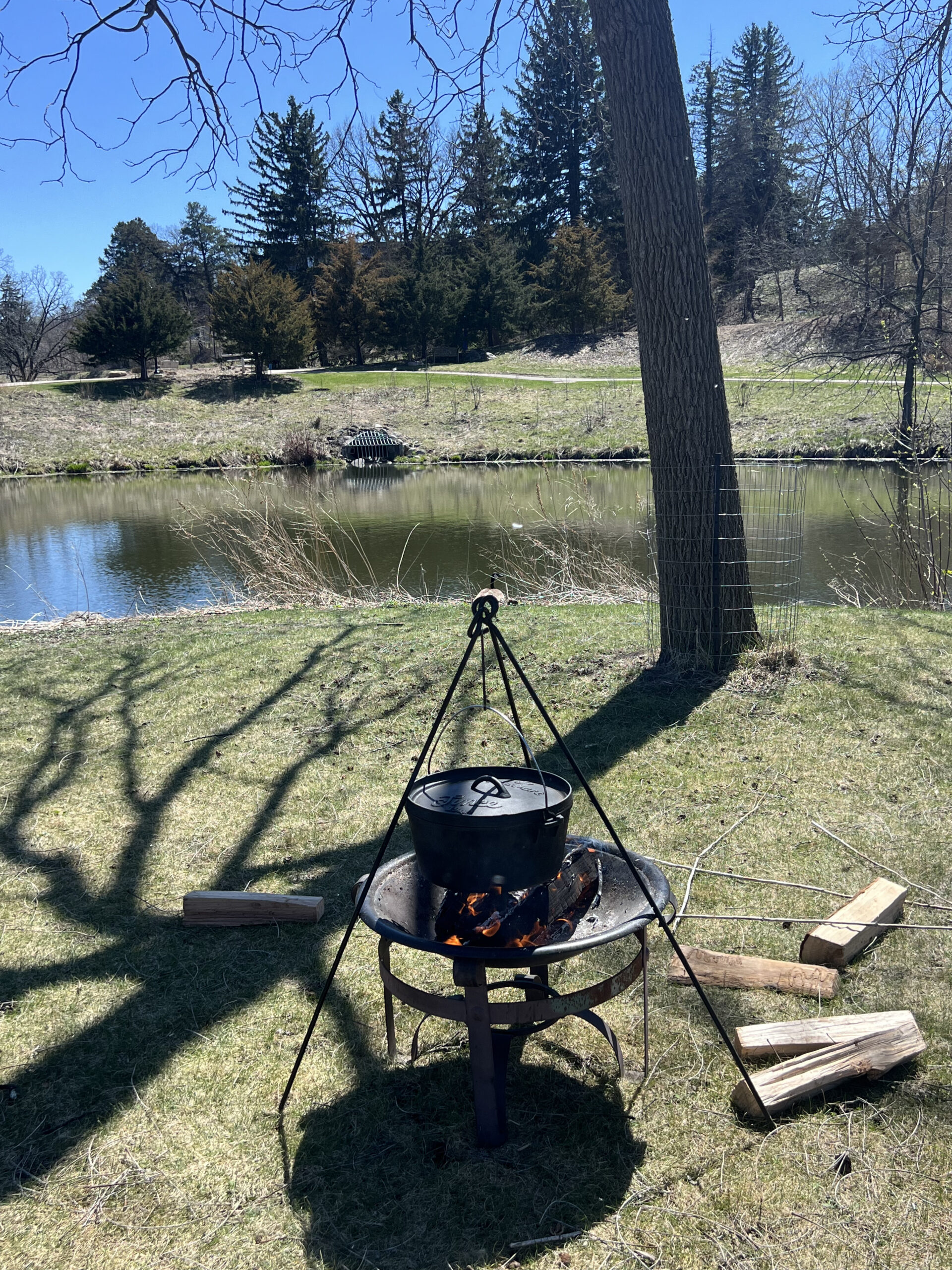 Cheese-making set up on island
