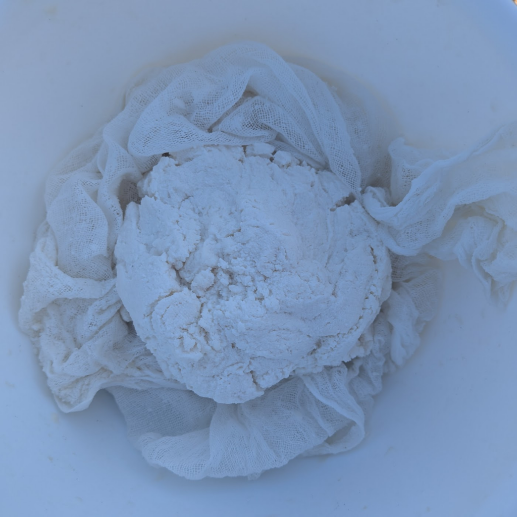 our balled up curd cheese